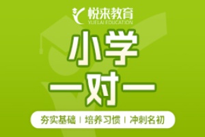 武汉小学全科一对一辅导