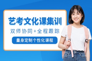 艺考文化课集训班